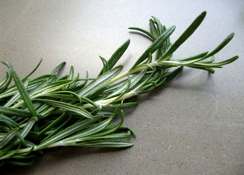 Rosemary w celu zwiększenia siły